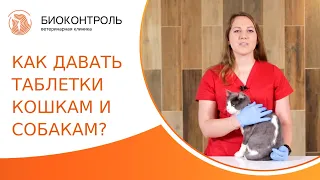 💊 Как правильно дать таблетку собаке и кошке? Как дать таблетку собаке и кошке. Биоконтроль. 18+