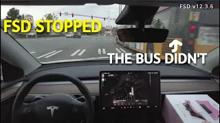 FSD v12 is SAFER than the bus! (v12.3.6)