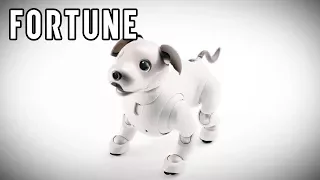 Sony’s Robotic Dog Is Back I Fortune