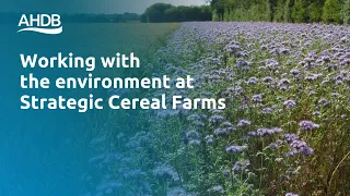 Working with the environment at Strategic Cereal Farms – harvest 2022 results