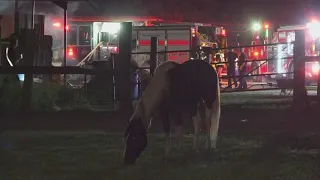 Multiple horses die in barn fire in north Houston, fire officials say