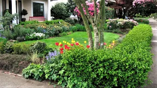 Интересные вдохновляющие идеи для украшения сада / Interesting ideas for garden decoration