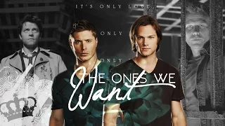 the ones we want | Supernatural (tcwc)