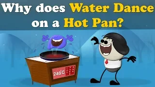 Why does Water Dance on a Hot Pan? + more videos | #aumsum #kids #science #education #children