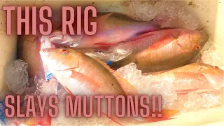 This Fishing Rig Slays Mutton Snapper