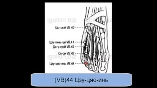 VB44 Цзу-цяо-инь