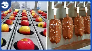 Modern Food Processing Technology And Cool Automatic Machines That Are At Another Level