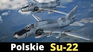 Co dalej z Su-22 w Polsce i na świecie?