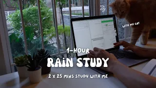 1-hour study with me in rain | 🌧️ rain background | 😸 with my cat