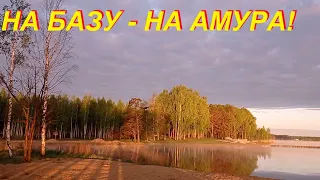 Ловля белого амура на базе отдыха!