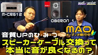 オーディオのスピーカーケーブルを取り換えると本当に音が良くなるのかを音楽の比較試聴や解説をしながら徹底検証！ZONOTONEの6NSP-Granster 2200αを分解して音質UPの秘密を解説します