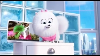 Best of The Secret Life of Pets Movie In Commercials July 2017 [Mr Elzone]