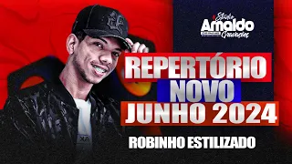 ROBINHO ESTILIZADO - REPERTÓRIO NOVO - JUNHO 2024 - PRA ARRANCAR SOLA DE SAPATO