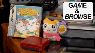 The Cutest GBA Game Ever? Hamtaro: Ham-Ham Heartbreak | Game & Browse Recap