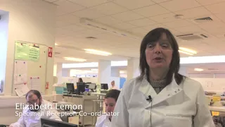 Introduction to Ulster Hospital Laboratory & Specimen Reception