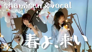 松任谷由実 - 春よ、来い (cover) 【津軽三味線 × 歌】Yumi Matsutoya - Haru yo koi （ shamisen × vocal ）