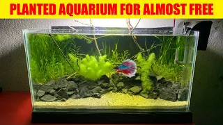 Low Tech Planted Aquarium Setup (IN HINDI) How To Setup Low Cost Planted Aquarium | Low Budget Tank