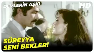 Devlerin Aşkı - Avni Bey, Türkan'ı Kaçırdı! | Türkan Şoray ve Kadir İnanır Türk Filmi