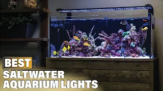 Top 10 Best Saltwater Aquarium Light (2024)