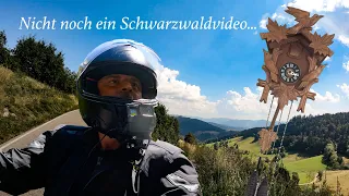 Motorradtour im Schwarzwald. Zwischen Kurven, Kühen und Kultur