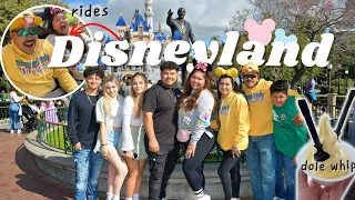 CuevAZ Family of 8 take on DISNEYLAND | rides, food, vibez (better late than never)