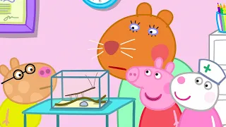 A Day With Dr Hamster At The Veterinary Clinic 🐶 | Peppa Pig Official Full Episodes