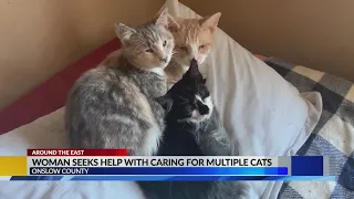Onslow County woman with 200 cats asking for help