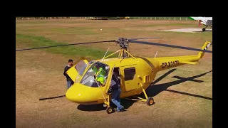 Hummingbird Helicopter 300L in Flight