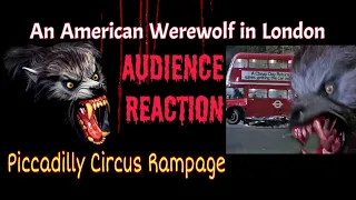 An American Werewolf in London - Audience Reaction 1982 Audio - (Piccadilly Circus Rampage)