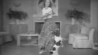 Amazing Tap Dance with trained dog