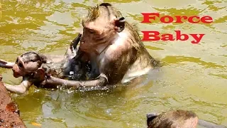 Force Much !! Duches very force Dakota swim into water, Baby so scare drown, Poor