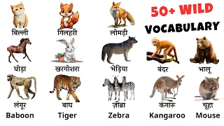 English Vocabulary | 50+ Wild Animals Name | #alokiq