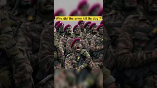 Why did the army kill its dog Fast ?