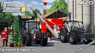 Selling animal products & making CCM | Animals on Stappenbach | Farming Simulator 19 | Episode 20