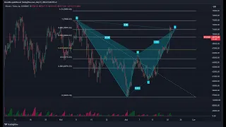 Realizacja układu harmonicznego na Bitcoinie. Co dalej?