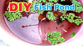 देसी DIY Fish Pond