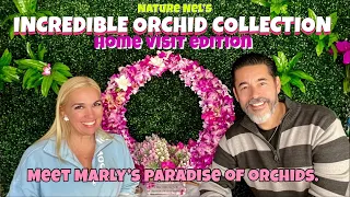 Great home visit to master orchid collector Marly. 20 years+ growing amazing mind blowing specimens.