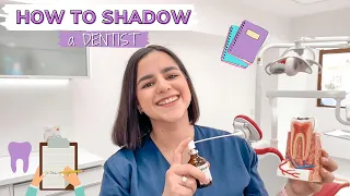 HOW TO SHADOW A DENTIST/GP! | 5 TIPS & More | Bianca Oprea