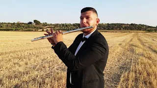 Hallelujah L.Cohen (flute cover by Emmanuel Monaco)