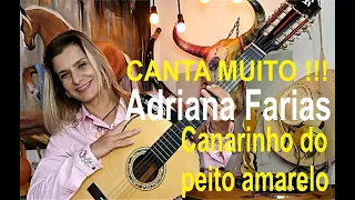 CANTA D + ESSA MULHER ! ADRIANA FARIAS VIOLEIRA - CANARINHO DO PEITO AMARELO - MÚSICA SERTANEJA RAIZ