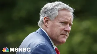Meadows takes risk with surprise testimony that has potential to backfire
