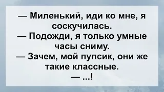 Иди ко Мне мой Пупсик ...! Свежие Анекдоты Для Супер Настроения! Юмор и Позитив!