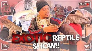 EXOTIC REPTILE EXPO | SHOW ME REPTILE & EXOTICS SHOW (Tour)