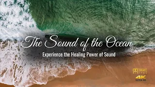 Sound of the Ocean, Birds and Wave | Relaxing Music