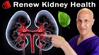 1 Cup...Will Tell Your KIDNEYS to Heal Up!   Dr. Mandell