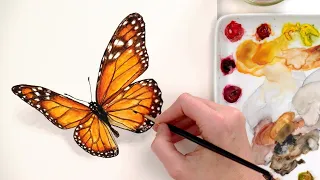 How to paint realistic watercolor butterflies - Easy beginners step-by-step painting art class