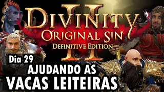 Divinity: Original Sin II # 29 - Ajudando as Vacas Leiteiras