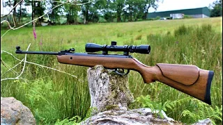 Top 10 Most Powerful Break Barrels Air Rifles For 2024