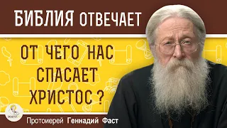 ОТ ЧЕГО НАС СПАСАЕТ ХРИСТОС ?  Протоиерей Геннадий Фаст