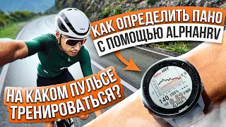 Как определить ПАНО с помощью AlphaHRV? На каком пульсе тренироваться и соревноваться?